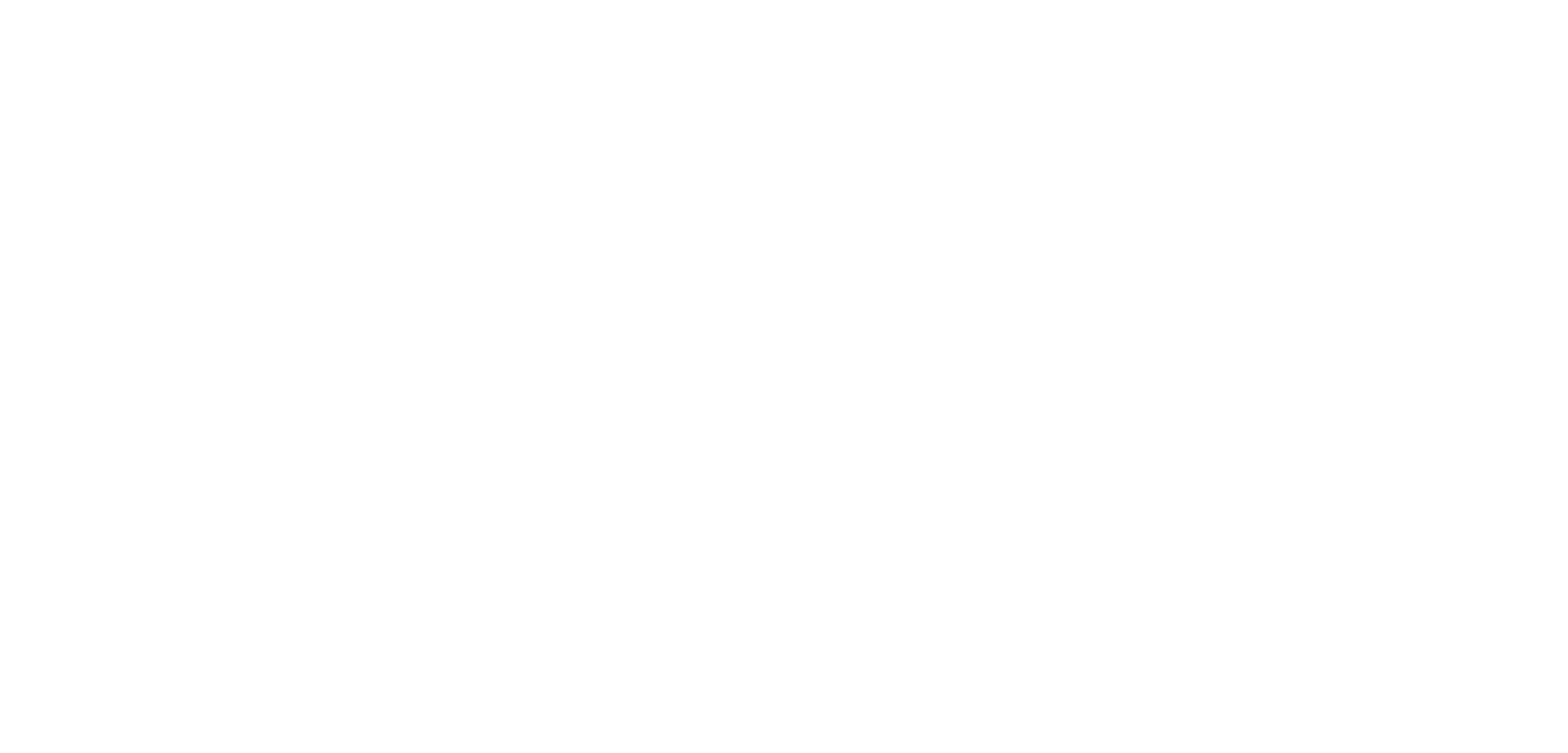 EverFlex Bilgi Logo